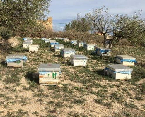Bijen imker imkerpak project dar al ousra