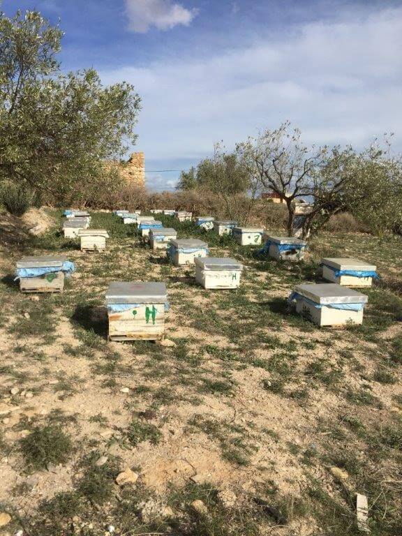 Bijen imker imkerpak project dar al ousra