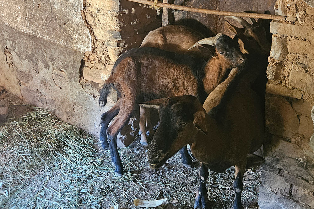 bezoek-aan-de-gezinnen07